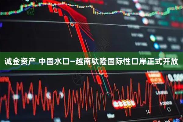 诚金资产 中国水口—越南驮隆国际性口岸正式开放