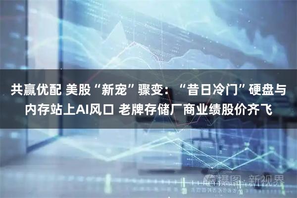 共赢优配 美股“新宠”骤变：“昔日冷门”硬盘与内存站上AI风口 老牌存储厂商业绩股价齐飞