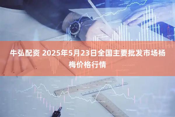 牛弘配资 2025年5月23日全国主要批发市场杨梅价格行情