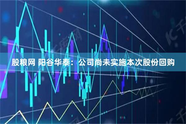 股粮网 阳谷华泰：公司尚未实施本次股份回购