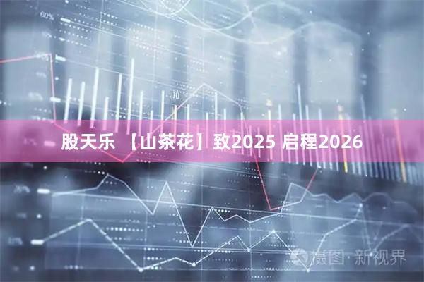 股天乐 【山茶花】致2025 启程2026
